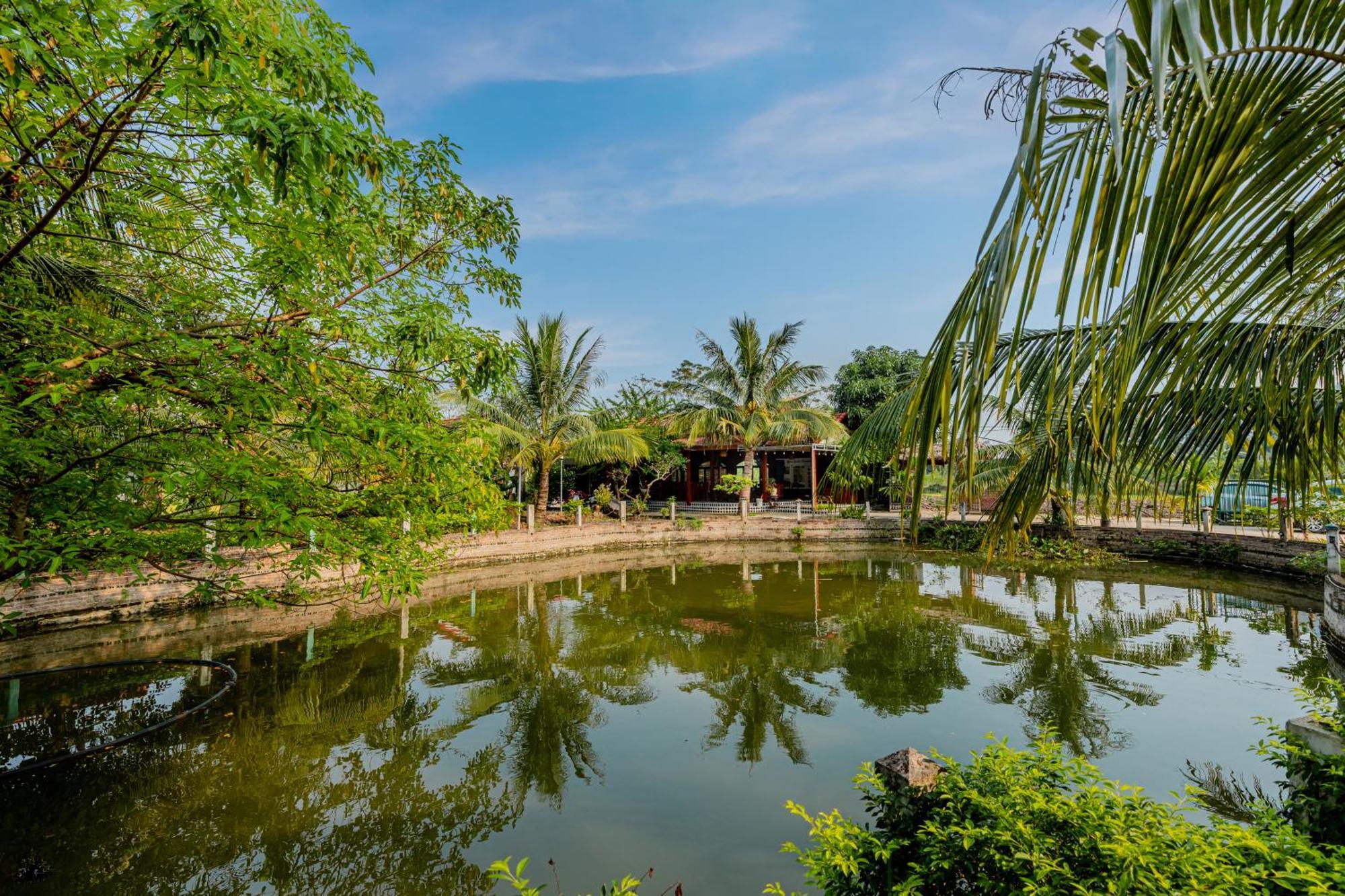 Tam Coc Green Garden Bungalow Ninh Bình Extérieur photo
